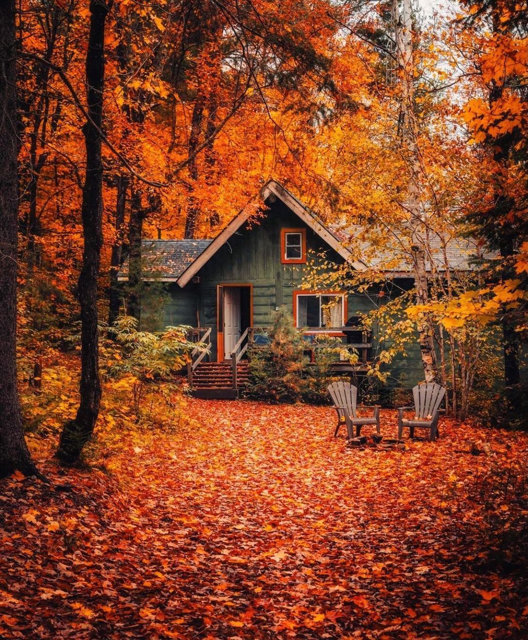 Interior/Exterior Fall Clean up Tips